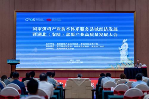 國家蛋雞產業技術體系服務縣域經濟發展大會在安陸召開，信息技術咨詢服務助力產業升級