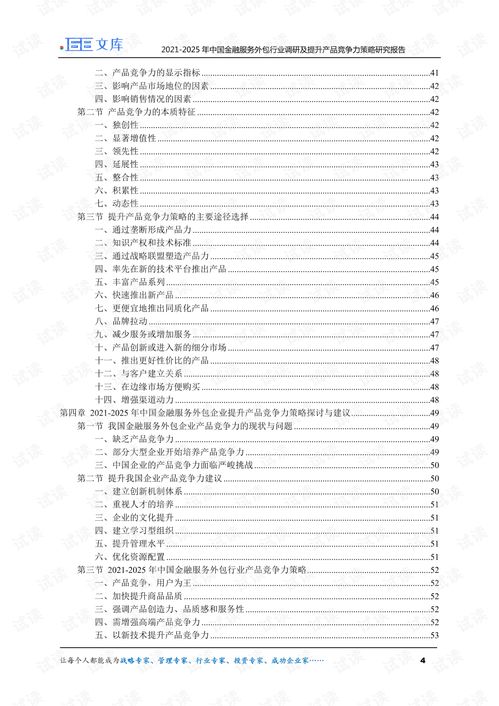 2025年中國金融服務(wù)外包行業(yè)現(xiàn)狀與競爭力提升策略研究報(bào)告